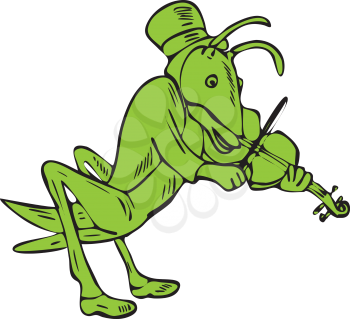 Drawing sketch style illustration of a grasshopper fiddler playing a violin on isolated white background.