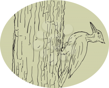 Drawing sketch style illustration of a woodpecker pecking on tree trunk viewed from side on isolated white background.