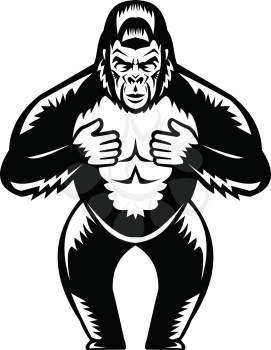 Retro woodcut style illustration of a silverback gorilla  thumping or beating it's chest viewed from front on isolated background done in black and white.