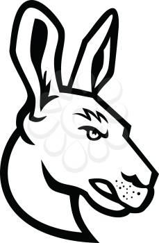 Mascot black and white illustration of head of an angry  kangaroo, a marsupial from the family Macropodidae, indigenous to Australia viewed from side on isolated background in retro style.