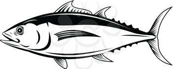 Retro style illustration of an albacore Thunnus alalunga or longfin tuna, a fish species of tuna of the order Perciformes, viewed from side on isolated background in black and white.