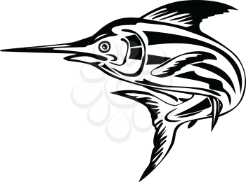 Retro style illustration of an Atlantic blue marlin, a species of marlin endemic to the Atlantic Ocean, swimming and jumping upward done in black and white on isolated background.
