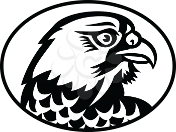 Mascot illustration of head of a peregrine falcon or the duck hawk in North America, a bird of prey in the family Falconidae, viewed from side on isolated background in retro black and white style.