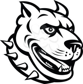 Mascot illustration of head of an American pit bull terrier or pitbull, a type of dog descended from bulldog and terrier, with collar viewed from side done in retro black and white style.