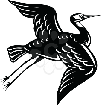 Retro woodcut style illustration of a white-faced heron Egretta novaehollandiae, white-fronted heron, grey heron or blue crane, a common bird in Australasia on isolated background in black and white.