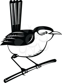 Retro style illustration of a wren, a family of brown passerine birds in the predominantly New World family Troglodytidae, perching on branch twig on isolated background in black and white.