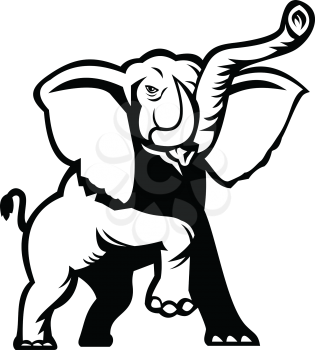 Stencil illustration of an African Elephant, Loxodonta, African bush elephant or African forest elephant prancing viewed from front on isolated background done in black and white retro style.
