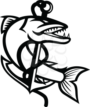 Mascot black and white illustration of great barracuda, a saltwater fish that is snake-like with fearsome appearance and ferocious behavior coiling up sea claw anchor on isolated background in retro style.
