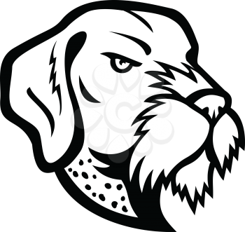 Mascot icon illustration of head of a German Wirehaired Pointer, a medium to large-sized griffon type breed of dog viewed from side on isolated background in retro black and white style.
