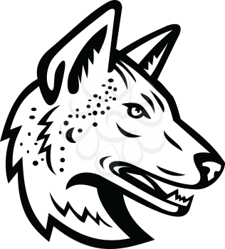 Black and white mascot illustration of head of an Arabian wolf or Canis lupus arabs, a subspecies of gray wolf viewed from side on isolated background in retro style.