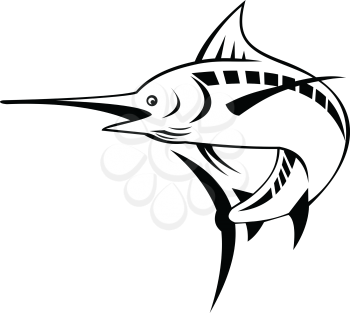 Retro style illustration of an Atlantic blue marlin, a species of marlin endemic to the Atlantic Ocean, swimming and jumping up done in black and white on isolated background.
