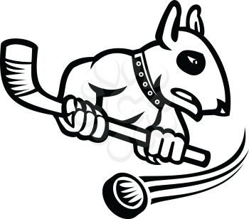 Sports mascot black and white illustration of a bull terrier or wedge head holding an ice hockey stick with puck at back viewed from side on isolated background in retro style.