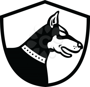 Illustration of a head of a Doberman Pinscher guard dog viewed from side set inside shield crest shape on isolated background done in retro black and white style.