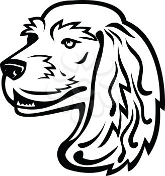 Black and white illustration of head of a English Cocker Spaniel, a breed of flushing dog looking to side viewed from  on isolated background in retro style.