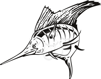 Retro woodcut style illustration of an Atlantic sailfish, a fish of the genus Istiophorus of billfish living in colder sea areas, jumping up viewed from front on isolated background done in black and white.