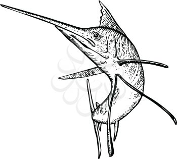 Retro woodcut style illustration of a sailfish, a fish of the genus Istiophorus of billfish living in colder sea areas, jumping up viewed from front on isolated background done in black and white.