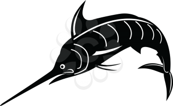 Retro woodcut style illustration of an Atlantic blue marlin, a species of marlin endemic to the Atlantic Ocean, jumping upward done in black and white on isolated background.
