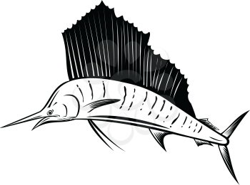 Retro woodcut style illustration of an Indo-Pacific sailfish, a fish of genus istiophorus of billfish native to the Indian and Pacific Oceans, jumping up isolated background done in black and white.