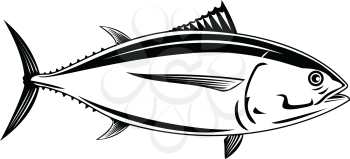 Retro woodcut style illustration of a Pacific albacore Thunnus alalunga or longfin tuna, a species of tuna of the order Perciformes a pelagic predator viewed from side done in black and white.