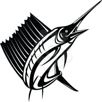 Retro woodcut style illustration of an Atlantic sailfish or Indo-Pacific sailfish, a fish of genus istiophorus of billfish living in cold areas, jumping up isolated background done in black and white.