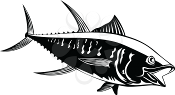 Retro style illustration of a yellowfin tuna thunnus albacares or ahi, a species of tuna found in pelagic waters of tropical and subtropical oceans on isolated background done in black and white.