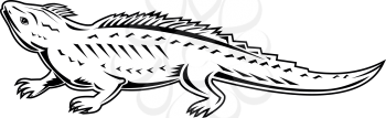Retro black and white style illustration of a Northern tuatara, a reptile endemic to New Zealand resembling a lizard, but part of a distinct lineage Rhynchocephalia side view on isolated background.