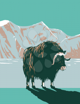 WPA poster art of the muskox or musk ox in winter in the Cape Krusenstern National Monument in northwestern Alaska, United States in works project administration or Federal Art Project style.