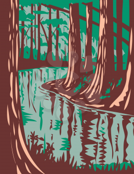 WPA poster art of Cedar Creek, a blackwater stream that runs through the Congaree National Park in central South Carolina, United States in works project administration or federal art project style.