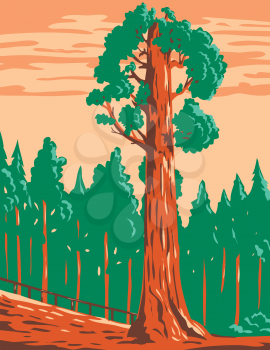 WPA poster art of the General Grant tree, a giant sequoia Sequoiadendron giganteum in Kings Canyon National Park  in California done in works project administration or federal art project style.