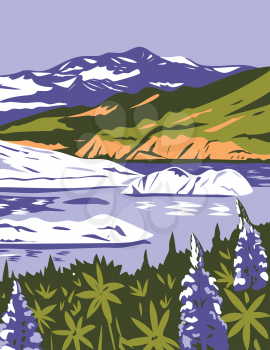 WPA poster art of the Wrangell-St. Elias National Park and Preserve with purple lupins in Nizina Lake in Alaska, United States of America in works project administration or federal art project style.