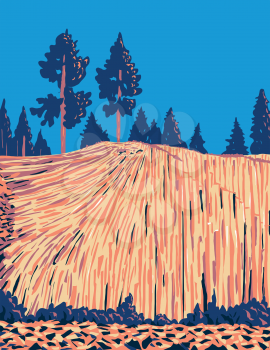WPA poster art of Devils Postpile National Monument with an unusual rock formation of columnar basalt near Mammoth Mountain in California United States done in works project administration style.
