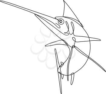 Continuous line drawing illustration of an angry Atlantic blue marlin jumping up done in mono line or doodle style in black and white on isolated background. 