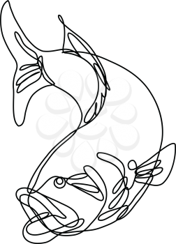 Continuous line drawing illustration of a bucketmouth bass or largemouth jumping down done in mono line or doodle style in black and white on isolated background. 