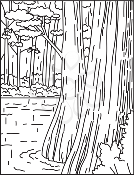 Mono line illustration of bottomland hardwood forest in Congaree National Park in central South Carolina, USA done in in retro black and white monoline line art style poster.