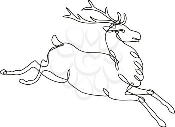 Continuous line drawing illustration of a red deer stag or buck jumping side view done in mono line or doodle style in black and white on isolated background. 