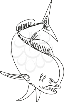 Continuous line drawing illustration of a dorado dolphin fish or mahi mahi diving down done in mono line or doodle style in black and white on isolated background. 
