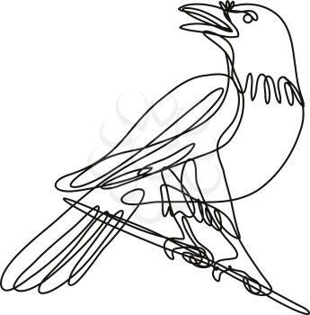 Continuous line drawing illustration of a common raven perching on branch done in mono line or doodle style in black and white on isolated background. 