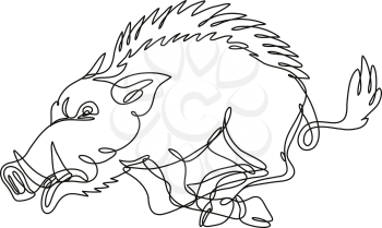 Continuous line drawing illustration of a razorback wild boar running attacking side view  done in mono line or doodle style in black and white on isolated background. 