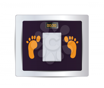 Body Fat Scale Isolated 