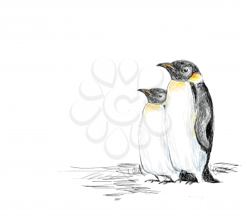 Penguins Hand Drawn 