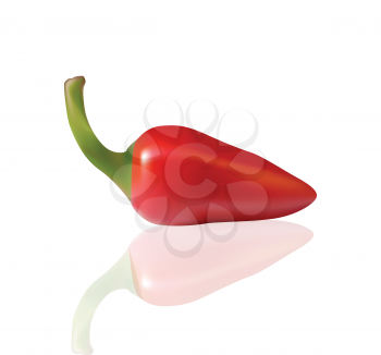 Red Chilli Isolated on White 