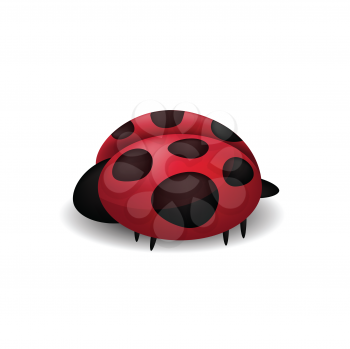  Ladybug isolated on white 