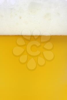 Royalty Free Photo of a Beer Closeup