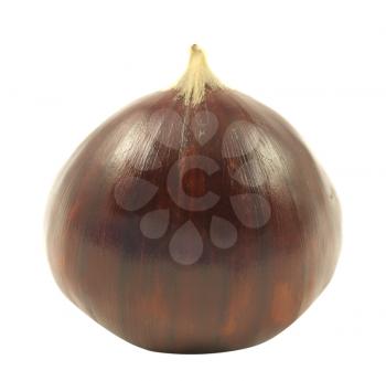 Royalty Free Photo of a Chestnut