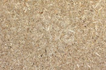 Royalty Free Photo of a Compressed Sawdust Texture