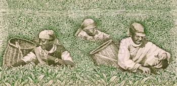 Royalty Free Photos of Farmers Picking Tea on 500 Francs Banknote From Rwanda