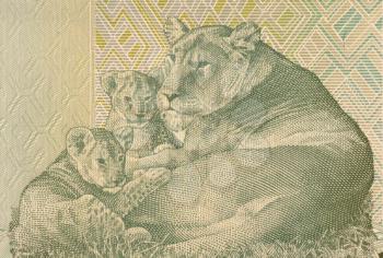 Royalty Free Photo of a Lioness Lying With Two Cubs on 20 Francs 2003 Banknote From Congo.