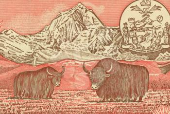 Royalty Free Photo of a Pair of Yaks on 5 Rupees 1987 Banknote from Nepal.