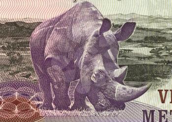 Royalty Free Photo of Rhinoceros on 20 Meticais 2006 Banknote from Mozambique.