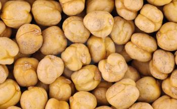 Royalty Free Photo of Chickpeas
